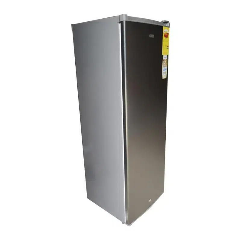 Nasco STANDING FREEZER DD1-33