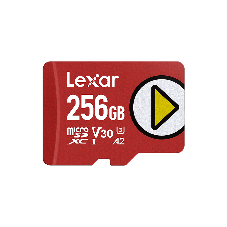 LEXAR LMSPLAY256G-BNSNG